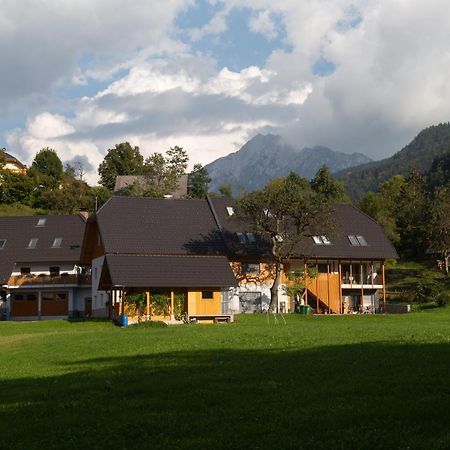 Apartments Tourist Farm Storman With Ev Ch-Station Тржич Екстер'єр фото