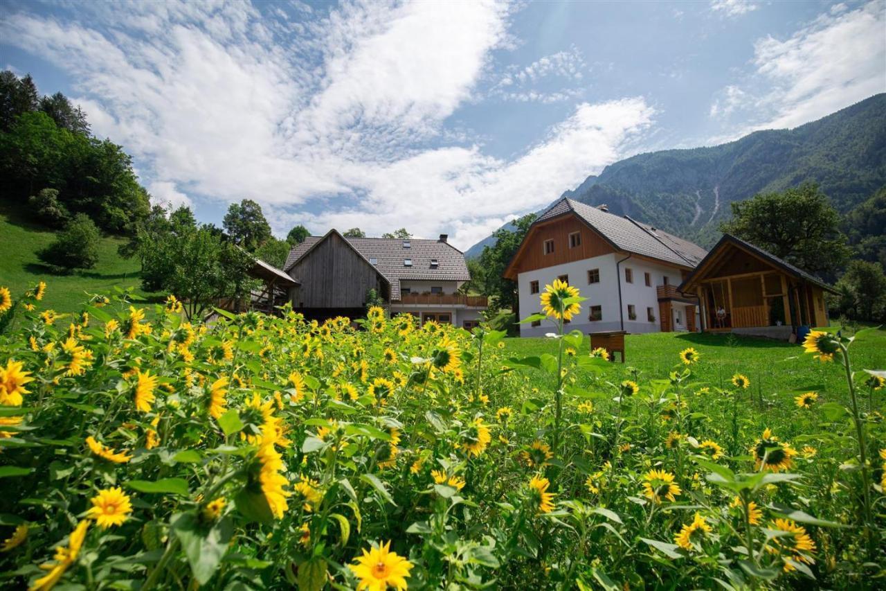 Apartments Tourist Farm Storman With Ev Ch-Station Тржич Екстер'єр фото