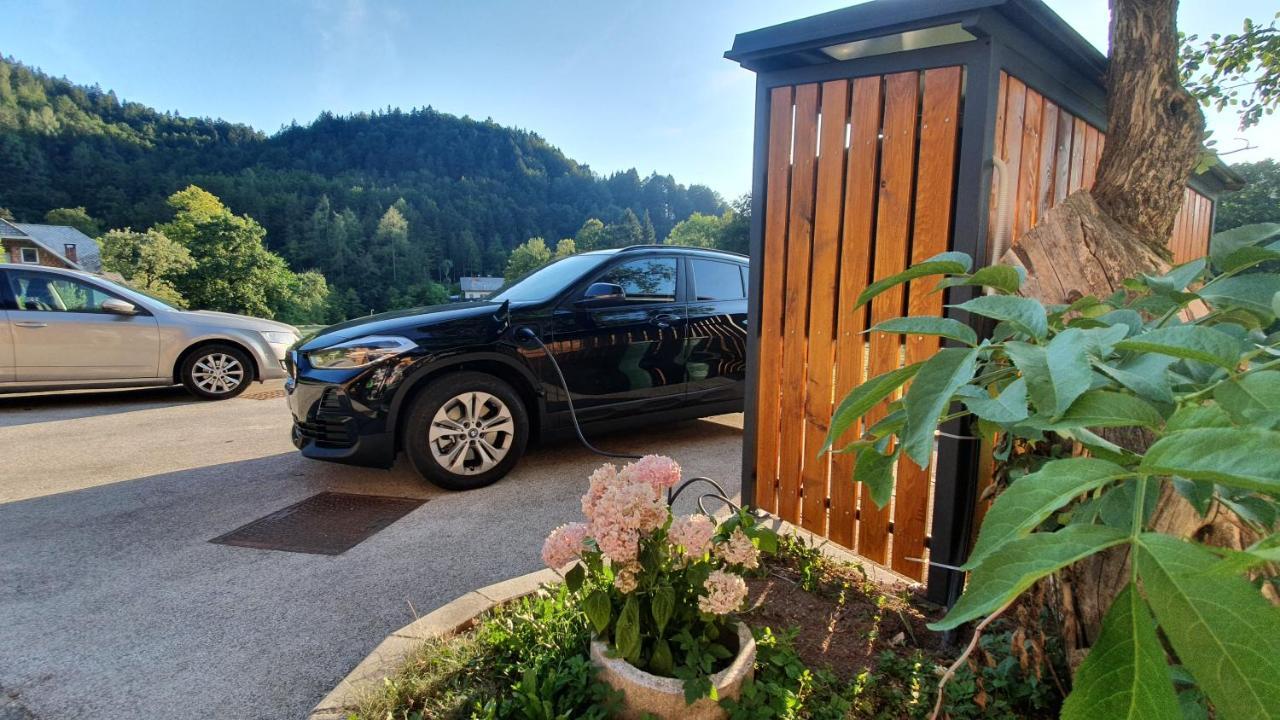 Apartments Tourist Farm Storman With Ev Ch-Station Тржич Екстер'єр фото