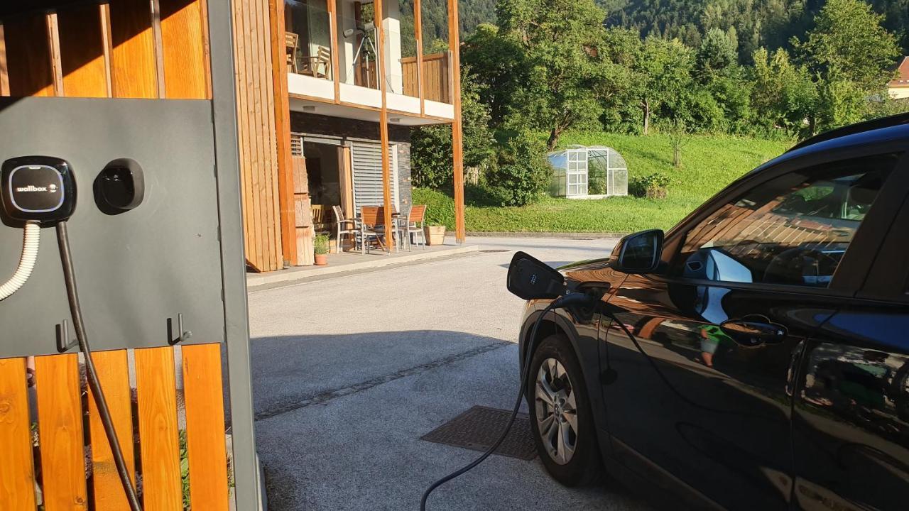 Apartments Tourist Farm Storman With Ev Ch-Station Тржич Екстер'єр фото