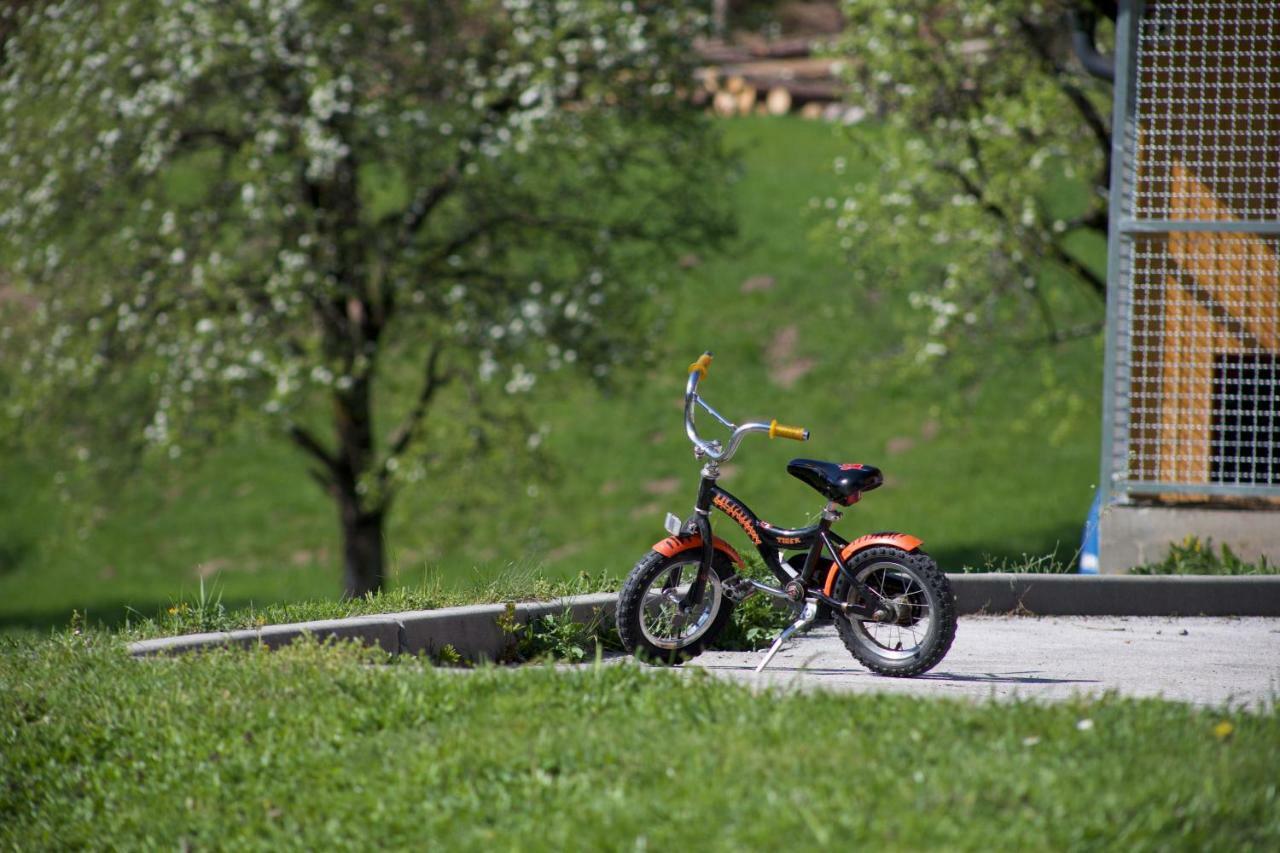 Apartments Tourist Farm Storman With Ev Ch-Station Тржич Екстер'єр фото